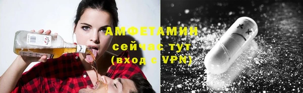хмурый Аркадак