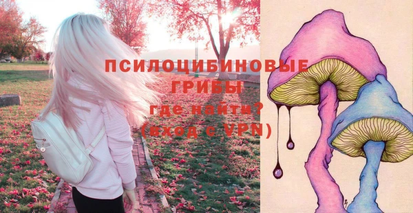 а пвп мука Алзамай